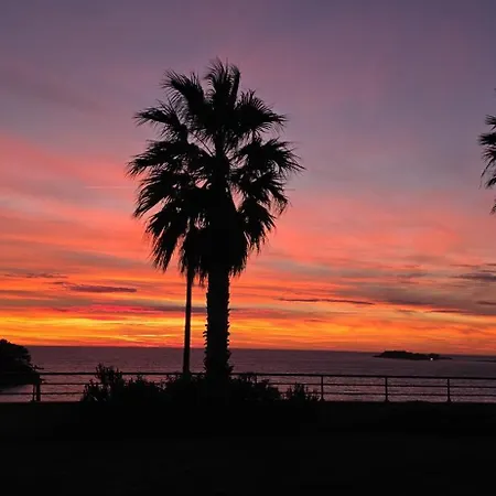 La Palmeraie
